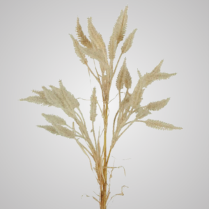 Wheat Stem 63cm Cream