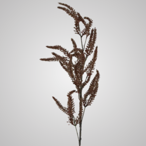 Dried Grass Frond 1m
