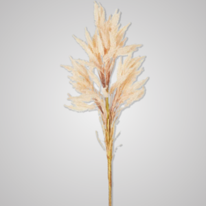 Wheat Stem 66cm Blush